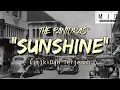 Download Lagu The Panturas - SUNSHINE ( Lirik Dan Terjemah )