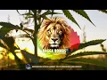 Headie One feat. AJ Tracey & Stormzy - Ain't It Different (Bish Jungle Bootleg)