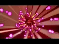 Shygirl - mute (ft.  Lolo Zouaï) [official audio]