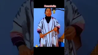                     دندنها