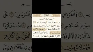 سوره يس من  إلى  الشيخ ياسر الدوسري دندنها