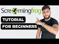 Download Lagu Screaming Frog Tutorial for Beginners: Step-By-Step Guide to Using Screaming Frog!
