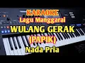 Download Lagu WULANG GERAK (Karaoke) Ciptaan Papik - Nada Pria