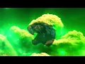 CODE ORANGE - Swallowing The Rabbit Whole (deeperthanbefore) (lyrics fan vid)