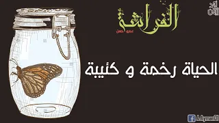 قصيدة الفراشة عمرو حسن فيديو كلمات Qasida El Farasha Amr Hassan With Lyrics 