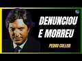 Download Lagu Pedro Collor: denunciou o irmão e morreu dois anos depois MP3