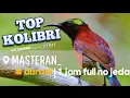 Download Lagu MASTERAN KONIN , KOLIBRI NINJA GACORRR MP3 TANPA JEDA  FULL..!!! 1 JAM.
