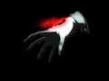Kaito Shoma - Scary Garry - [EDIT] - Alucard / Hellsing