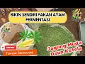 Download Lagu STOP Beli Pakan Mahal! Bikin Sendiri Pakan Ayam Fermentasi dari Bahan Sederhana Ini!