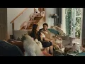 Airbnb Vs A Lot of House Cats