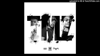 t m z ntombi zodwa official audio seeds album