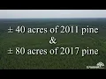 Billingsly Tract