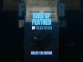 Download Lagu Bird Of Feather Billie Eilish Arlot Eid Remix | #fyp #edm #europe #remixvibes #soundwave #viralnow