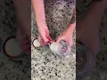Rehydrating Eve - Your new dehydrated sourdough starter