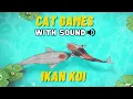 Lagu CAT GAMES - ANIMASI IKAN KOI DENGAN SUARA RELAXING SLEEP, CATCHING KOI FISH ANIMATION, FULL 30 MENIT