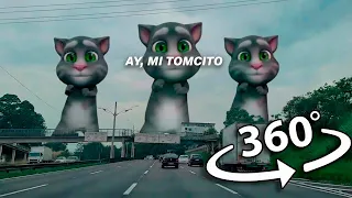 Tomcito, Miau, Miau - City in 360° VR Video | 8K |