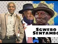 Download Lagu Sgwebo Sentambo Bheki Cele Song
