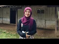 Download Lagu CARI JODOH.! JANDA DESA CANTIK PENGEN KAWIN DI RUMAH TERPENCIL PEDALAMAN JAWA TENGAH