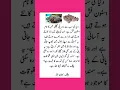 Download Lagu Dunia ki sb sy Zehreeli Fish || Best Islamic content @PrayofIslam-pe1jn #viralvideo #shorts #fish