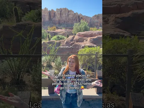 Gotta get out and enjoy nature sometimes ⛰️ #disneyland #carsland #radiatorspringsracers #funny