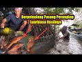 Lagu 2Hari 1Malam Berpetualang Pasang Perangkap Mancing Ikan Besar Langsung Masak dan Jual