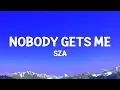Download Lagu SZA - Nobody Gets Me (Lyrics)  | 1 Hour Version
