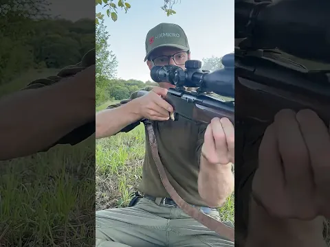 It's Deer Hunting Season