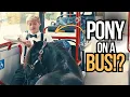 My Pony Inside a Driving Bus My Horse Truck Got Stolen and Matt Has to Choose