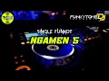Download Lagu Funkot - NGAMEN 5 #Funkytonestyle