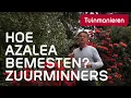 Download Lagu Hoe bemest of voed je de Azalea? De Azalea houdt van zure grond.