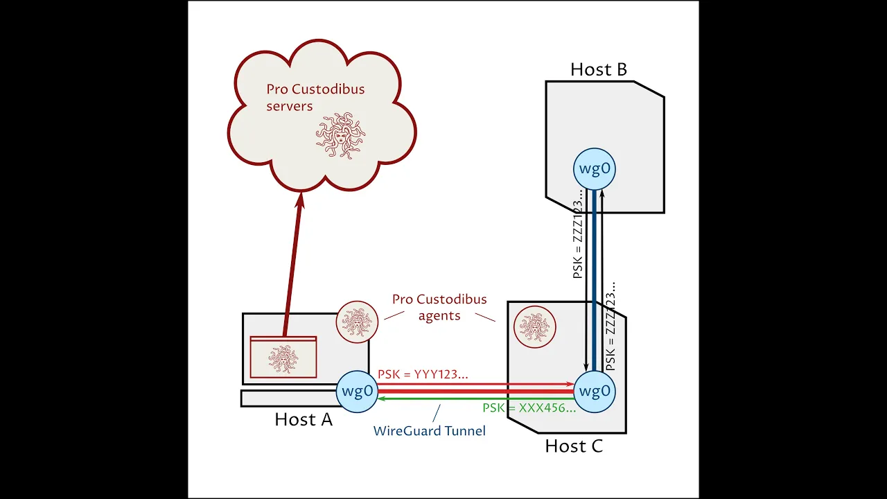 WireGuard Multi-Factor Authentication With Pro Custodibus