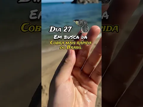 Dia 27 em busca da cobra mais rápida do Brasil ￼
