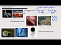 04 Archaea Nutrition