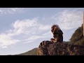 Download Lagu Rafiki throws Simba, Lion King 2019