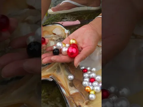 🔥🔥 Girl finds rare pearls in giant river mussel