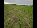 Kankakee County Sheriff s Office Investigating Criminal Damage to Farm in Limestone Township
