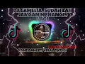 Download Lagu DJ CAMELIA - SUDAH LAH JANGAN MENANGIS LAGI || VIRAL TIKTOK TERBARU 2023 || YANG KALIAN CARI