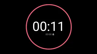 11 Second Countdown Timer iPhone Timer Style