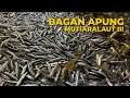 Download Lagu ALHAMDULILLAH, BAGAN MUTIARALAUT III KEMBALI MEMBAWA HASIL