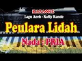 Download Lagu LAGU ACEH - PEULARA LIDAH - KARAOKE