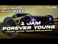 Download Lagu 1 JAM FOREVER YOUNG SLOW FULL BASS COCOK UNTUK TEMAN PERJALAN (MHLS PRO)