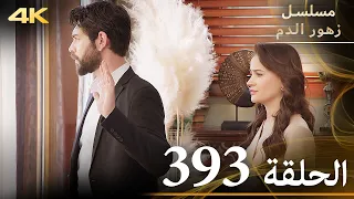 الحلقة 393 مسلسل زهور الدم مدبلج بالعربية Kan Çiçekleri جودة 4K 