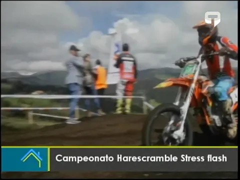 Campeonato Harescramble Stress flash
