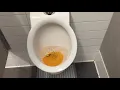 1 372 South Hills Honda Men s Restroom