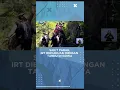 Download Lagu Sakit Parah, IRT Dievakuasi dengan Tandu di Gowa, Sulawesi Selatan