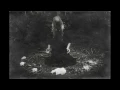 Delphine Coma - Exit Isolation (Shadowbunny Remix)
