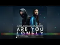 ARE YOU LONELY|[ALAN WALKER, STEVE AOKI AND FT.ISAK] GREAT MUSIC