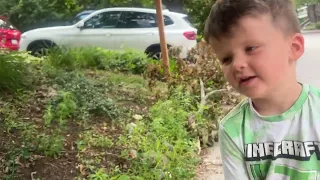 My guide dog took my toddler to daycare ￼