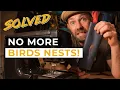 How To Stop Sewing Birds Nests