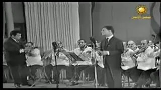 ماذا اقول لادمع سفحتها اشواقي اليك Alaa Albakly 